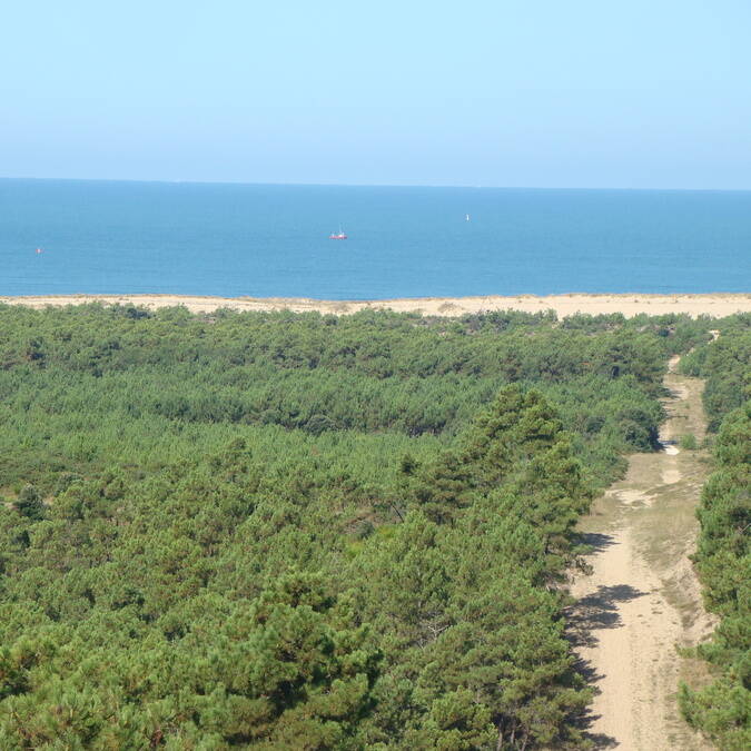 De Côte Sauvage, het pijnbomenbos en de zee © Elsa COEFFE / CMT