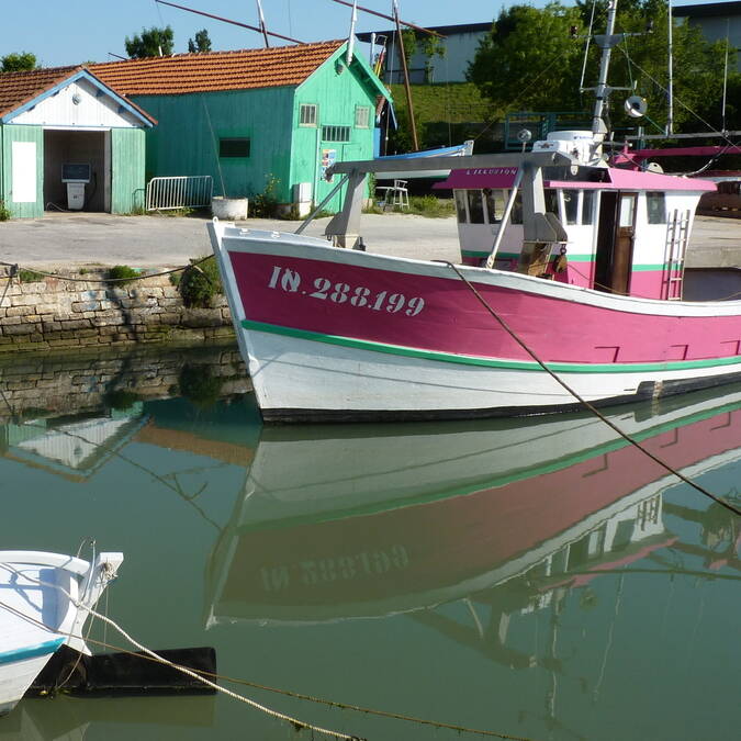 Oesterhuisjes in de haven van Le Château d’Oléron  © FDHPA 17